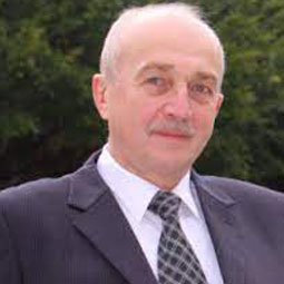 Vladimir G Chigrinov